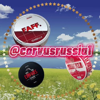 Телеграм канал corvusrussia1