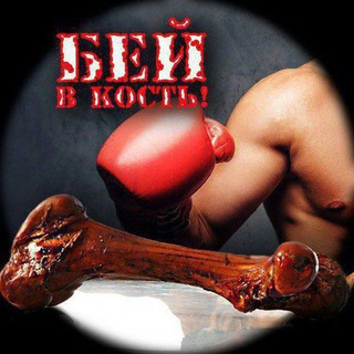 Телеграм канал Бей в кость | Бокс и MMA