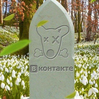 Телеграм канал ☠️Мертвые страницы☠️